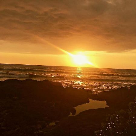 Unwind On Your Fantasy Hawaiian Vacation- 1Bd/1Ba Condo In Kailua-Kona, Hawaii Eksteriør billede