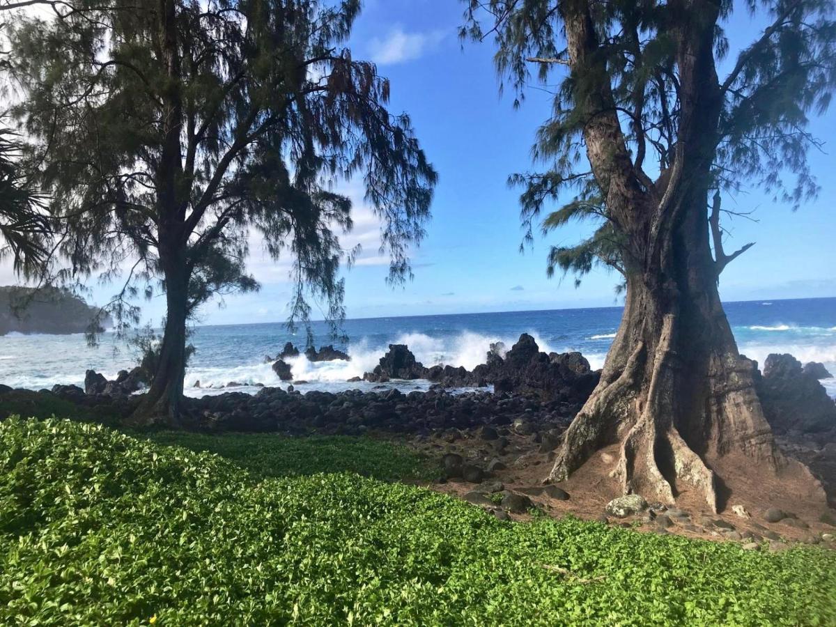 Unwind On Your Fantasy Hawaiian Vacation- 1Bd/1Ba Condo In Kailua-Kona, Hawaii Eksteriør billede